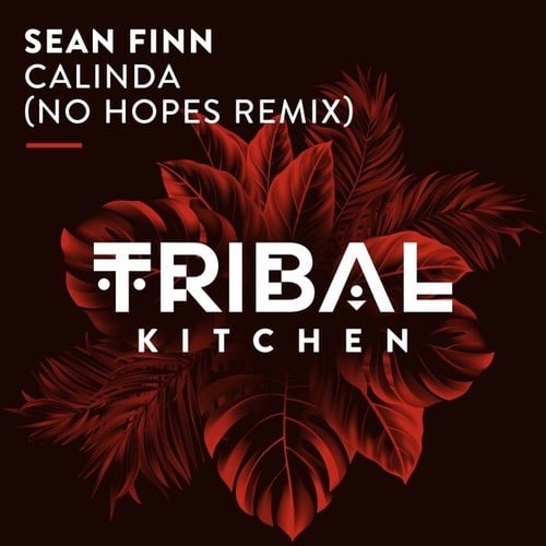 Sean Finn, No Hopes-Calinda (No Hopes Extended Remix)