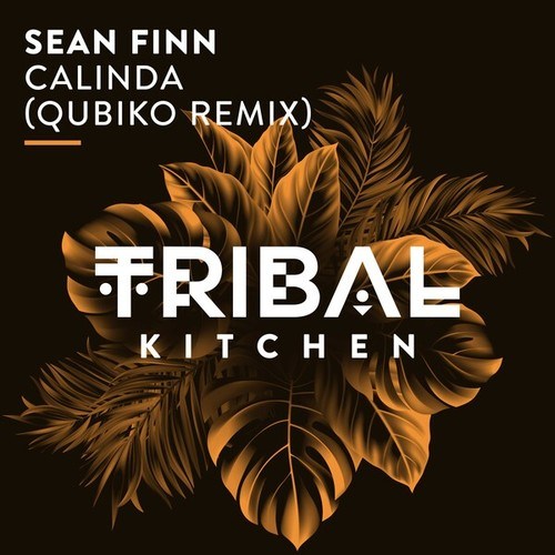 Sean Finn, Qubiko-Calinda (Qubiko Extended Remix)