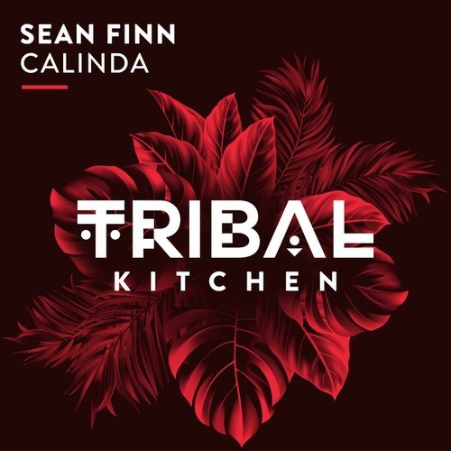 Sean Finn-Calinda
