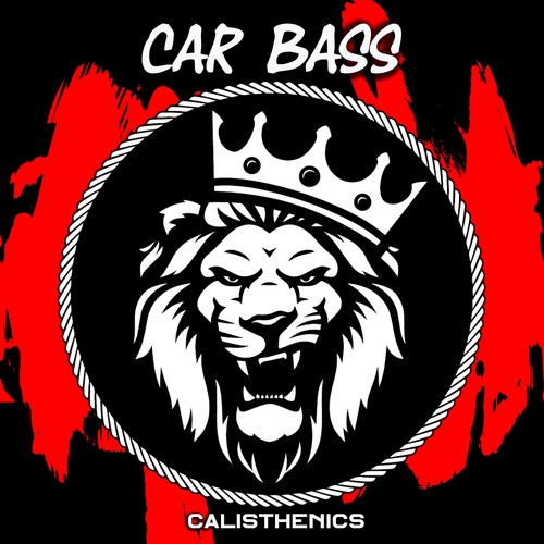 Car Bass-Calisthenics
