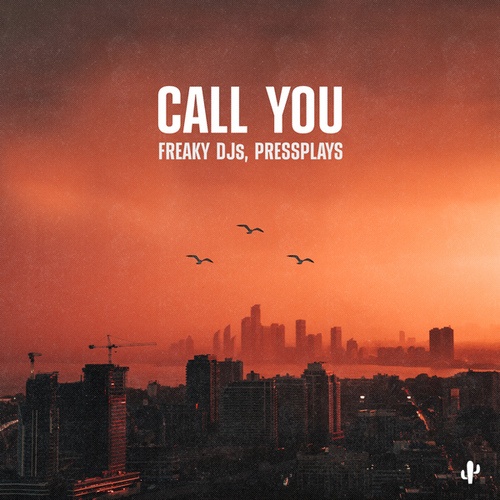 Freaky DJs, Pressplays-Call You