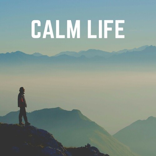 Calm Life