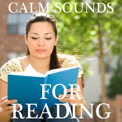 Calm Sounds For Reading