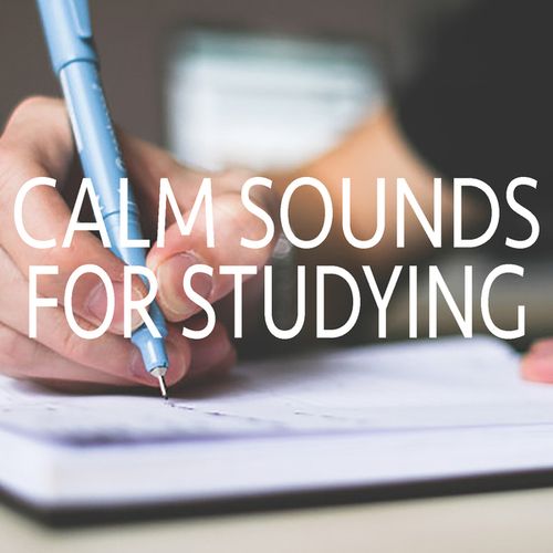 Calm Sounds For Studying