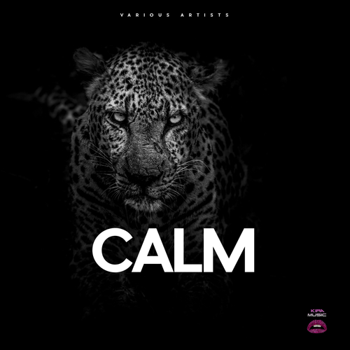 Various Artists-Calm