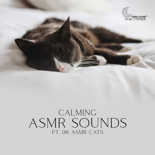 Calming ASMR Sounds, Pt. 08