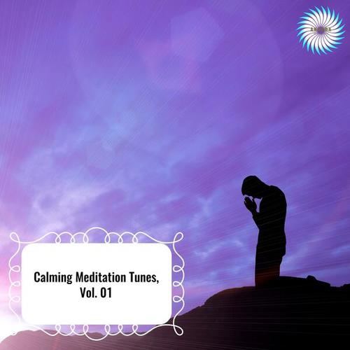 Calming Meditation Tunes, Vol. 01