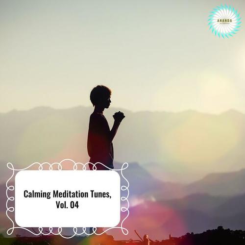 Calming Meditation Tunes, Vol. 04