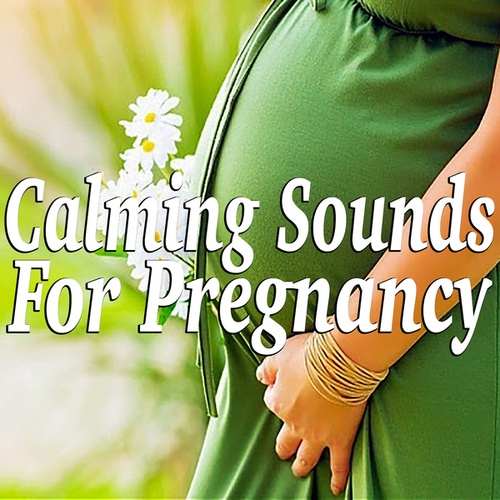 Calming Sounds For Pregnancy