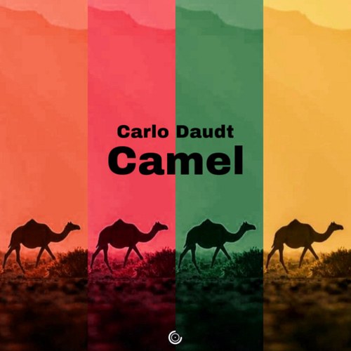 Carlo Daudt-Camel