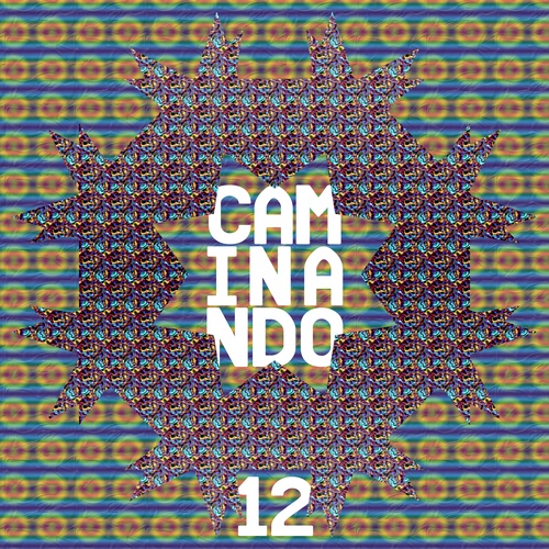 Various Artists-Caminando 12