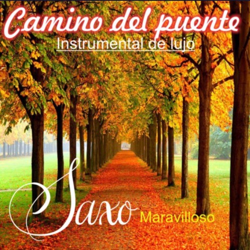 Camino Del Puente(Instrumental Bolero)