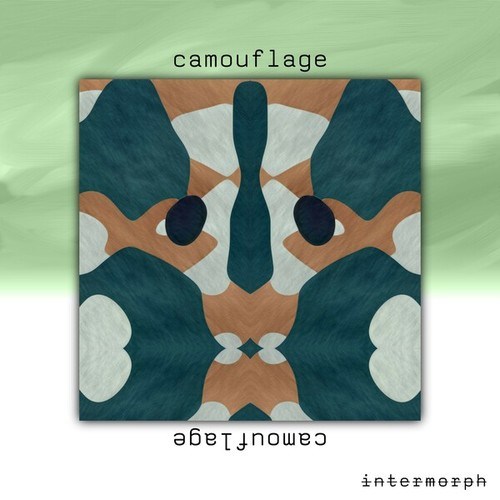 Intermorph-Camouflage
