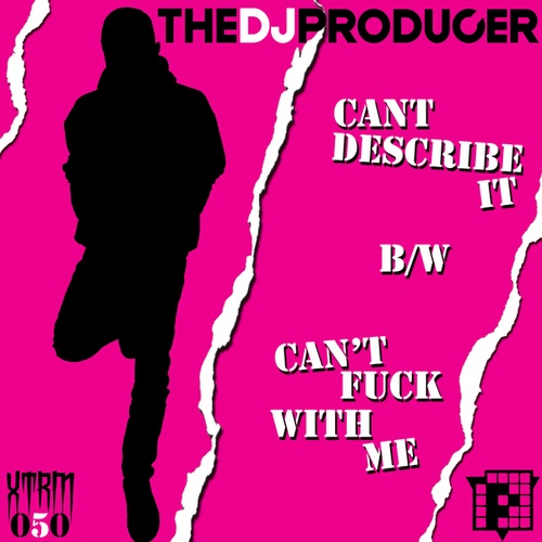 The DJ Producer-Can't Describe It (Finally) / Can't Fuck With Me