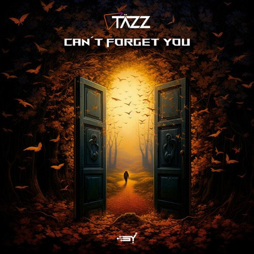 TÄZZ-Can't Forget You