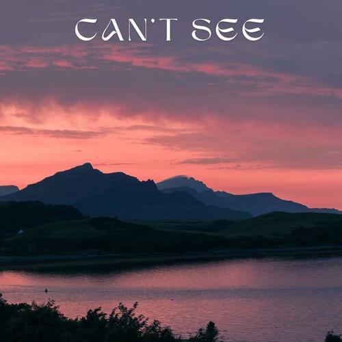 Can't See