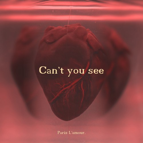 Paris L'amour-Can't You See