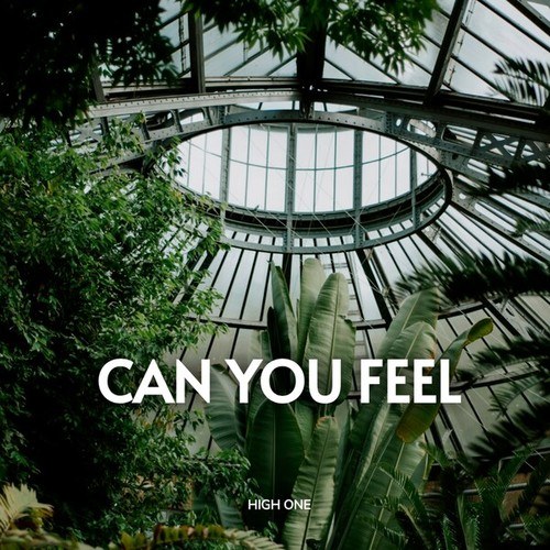 High One-Can You Feel