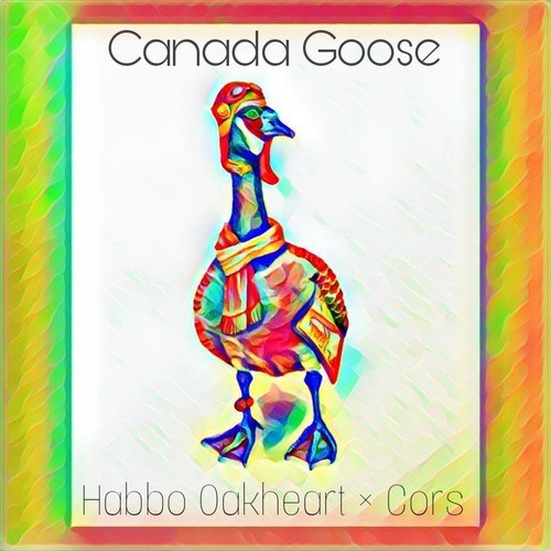 Habbo Oakheart, Cors-Canada Goose