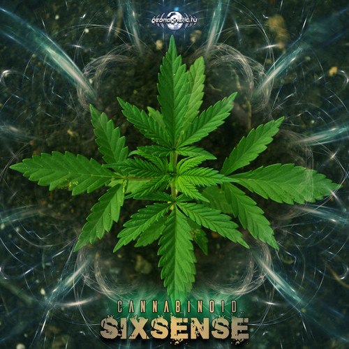 Sixsense-Cannabinoid