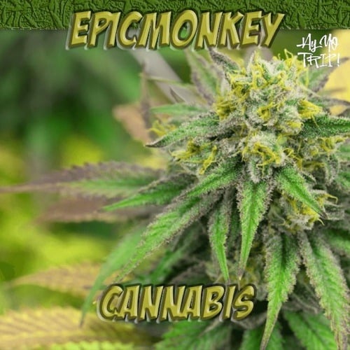 EpicMonkey-Cannabis