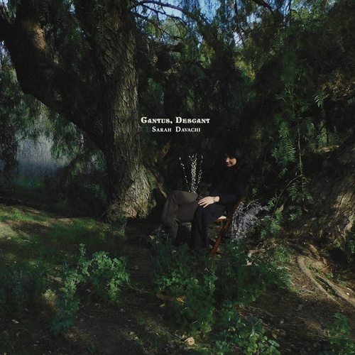 The Pelican by Sarah Davachi Stream and Download on Music Worx