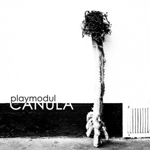 Playmodul-Canula