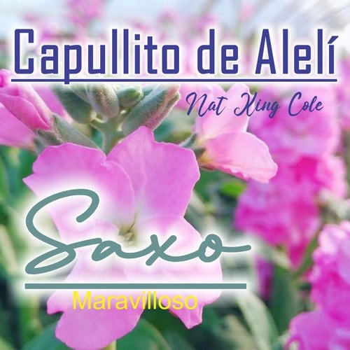 Capullito De Aleli