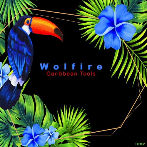 Wolfire-Caribbean Tools