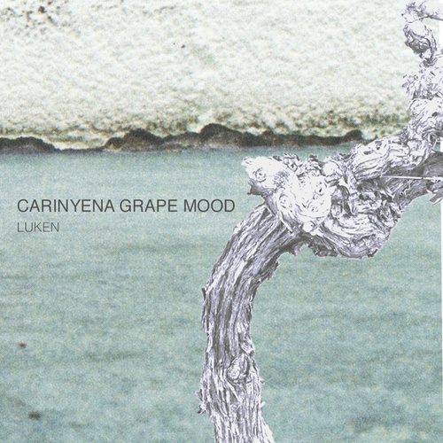 Luken-Carinyena Grape Mood