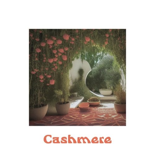 Cashmere