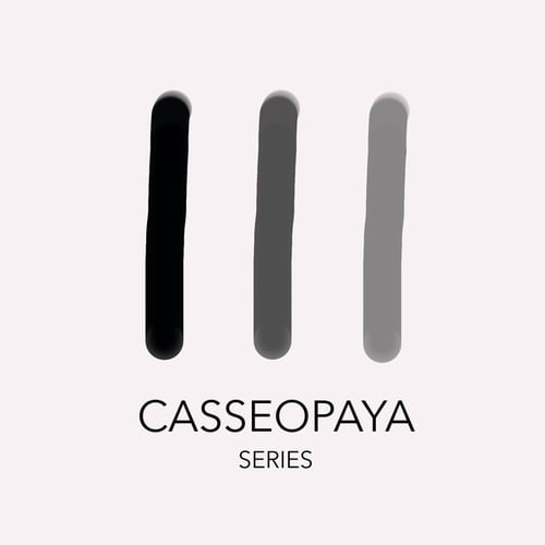Various Artists-Casseopaya Series 5