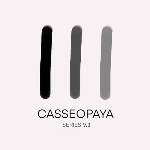 Various Artists-Casseopaya Series, Vol. 3
