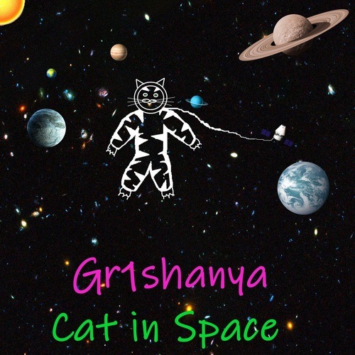 Gr1shanya-Cat in Space