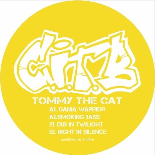 Tommy The Cat-Cat In The Bag 006