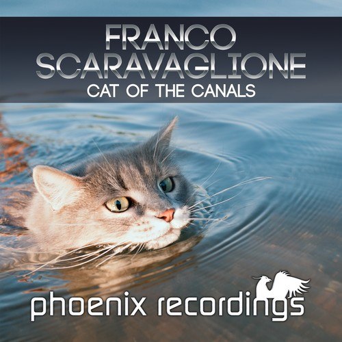 Franco Scaravaglione-Cat of the Canals