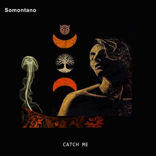Somontano-Catch me