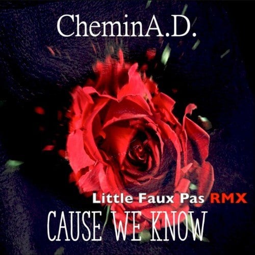 Cause We Know (Little Faux Pas RMX)