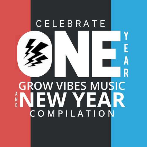 Various Artists-Celebrate One Year & New Year 2020