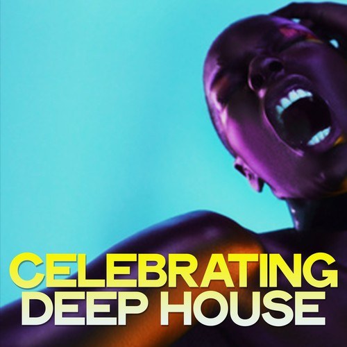 Various Artists-Celebrating Deep House