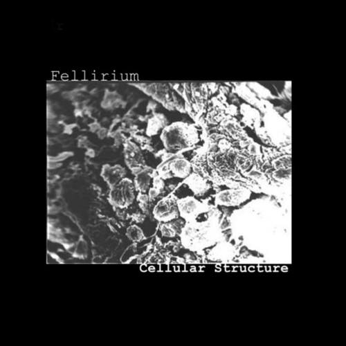Fellirium-Cellular Structure