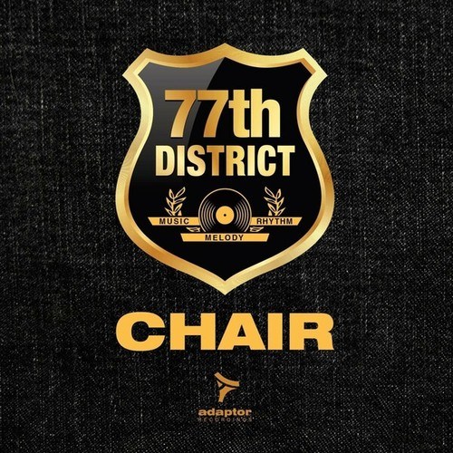 77th District-Chair