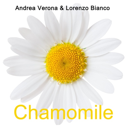 Lorenzo Bianco, Andrea Verona-Chamomile