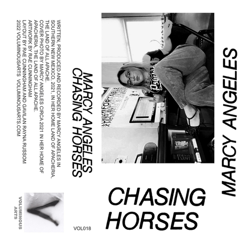 Marcy Angeles-Chasing Horses