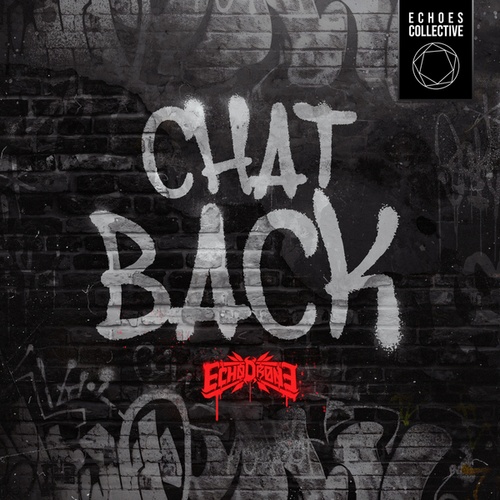 Echo Drone-Chat Back