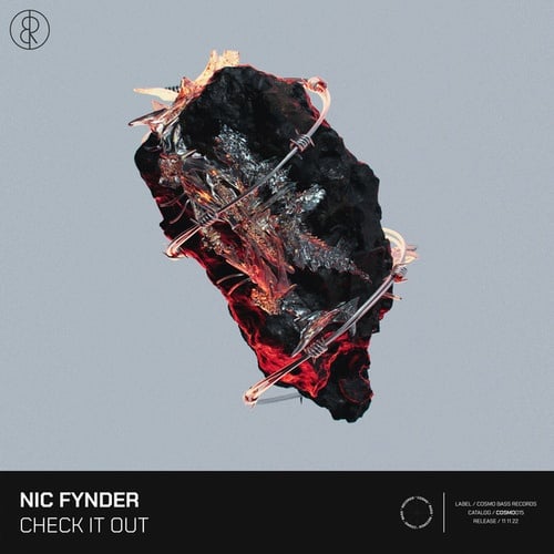 Nic Fynder-Check It Out
