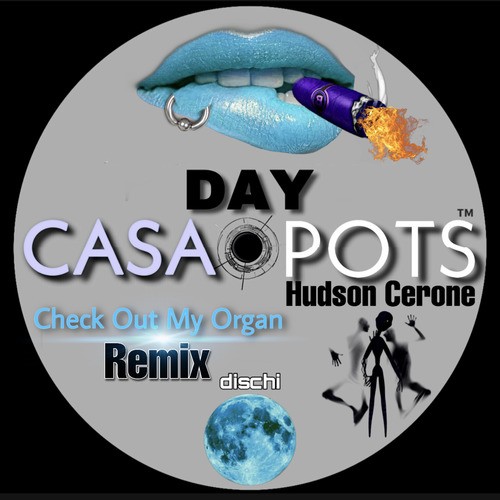 Hudson Cerone, Holdin MyCock-Check out My Organ (Hudson Cerone Holdin MyCock Remix)