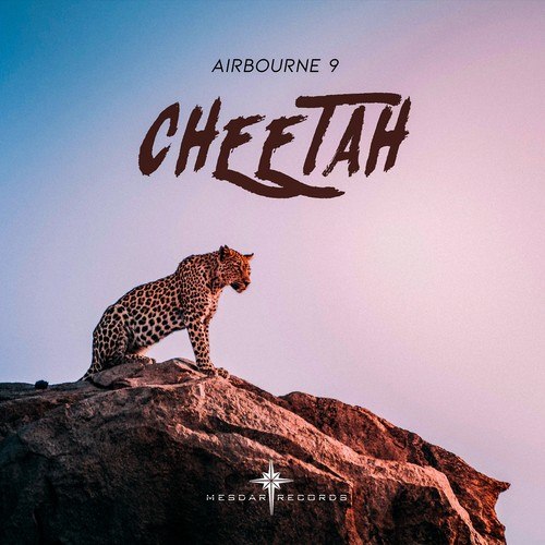 Airbourne9-Cheetah