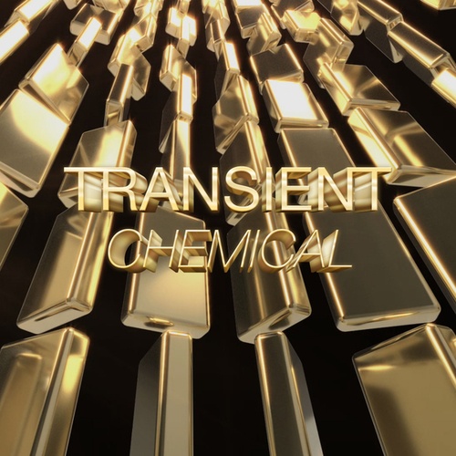 Transient, Victoria Rawlins-Chemical