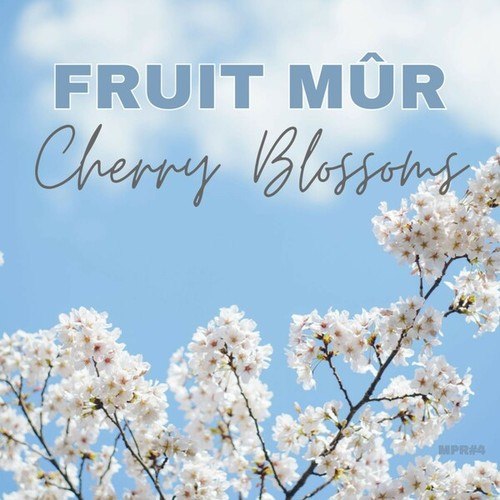 Fruit Mûr-Cherry Blossoms